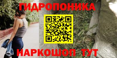 скорость Камышлов