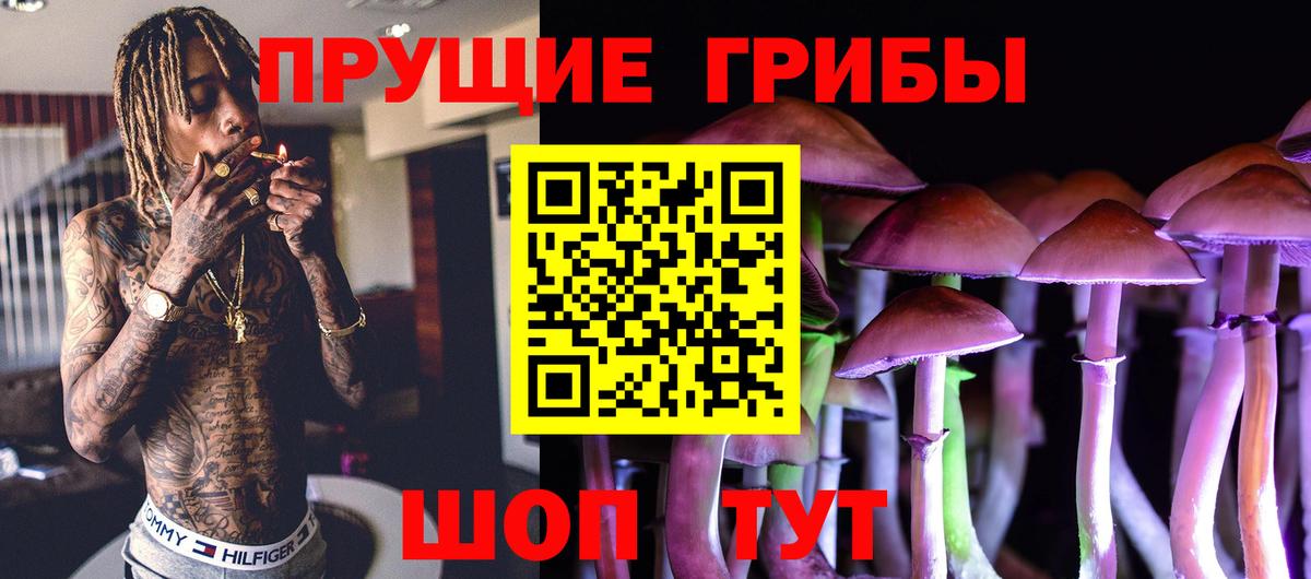 где продают   Галлюциногенные грибы GOLDEN TEACHER  Вход с VPN  Краснодар 