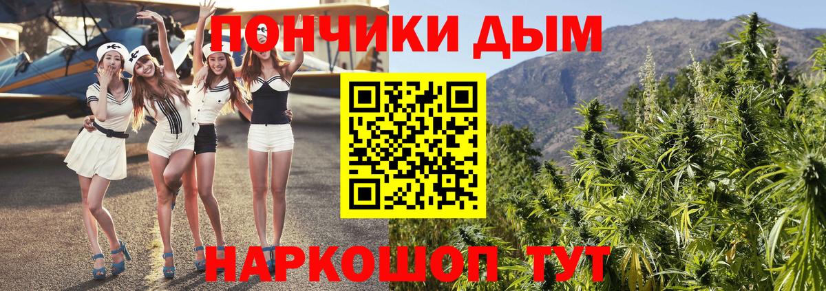 Шишки марихуана планчик Краснодар